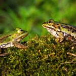 istockphoto-1238279114-170667a