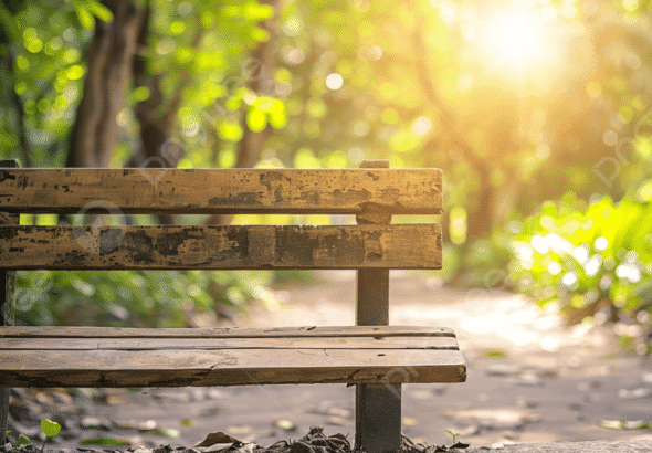 pngtree-wooden-bench-in-a-park-surrounded-by-nature-with-for-relaxation-picture-image_16021338