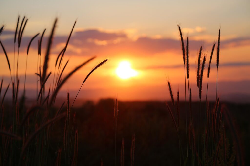Sunset 3416768 1280